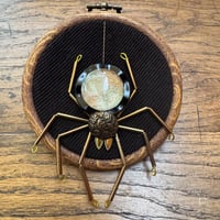 Image 3 of Amapnid (a, 3.5 inches) 