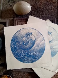 Image 1 of Il regolo blu - The blue goldcrest