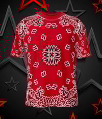 Image 1 of The Bandanna Collection 