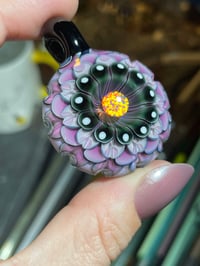 Image 5 of Queen Purple