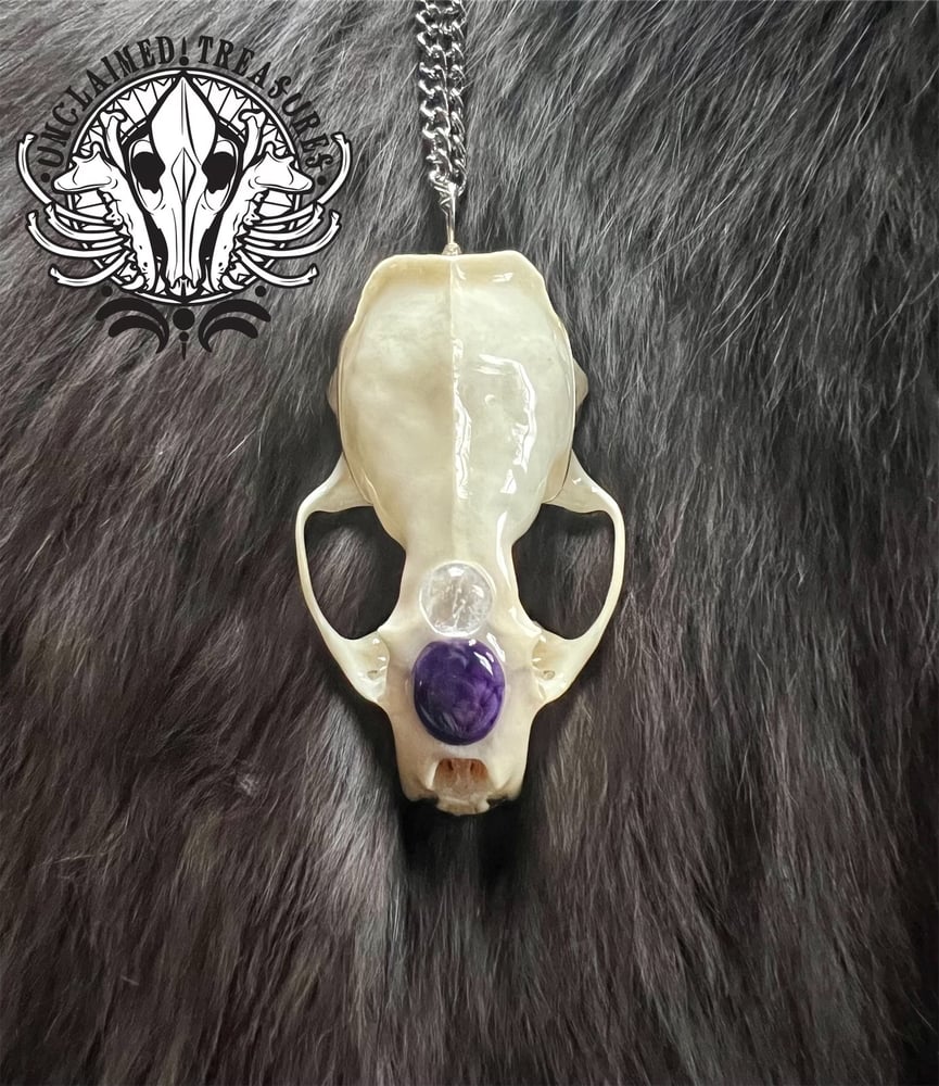 Image of Mink Skull Pendant Necklace with Moonstone & Howlite adornments