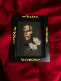 Frankenstein Jewelled Nawab