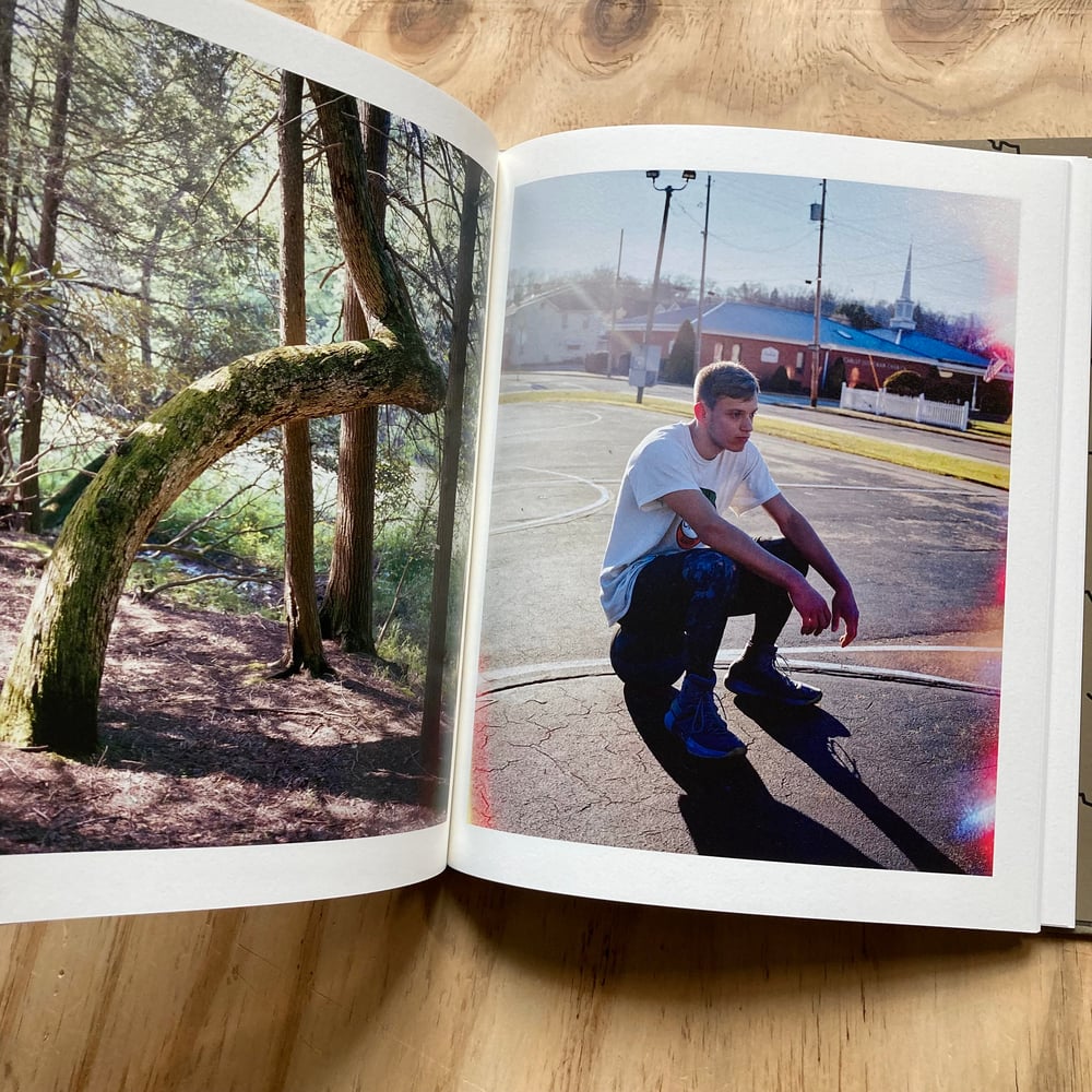 Jake Reinhart - Laurel Mountain Laurel