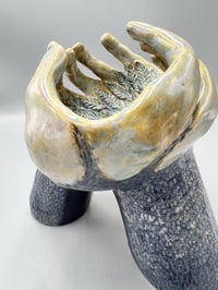 Image 2 of Compassion- Elizabeth Paxson