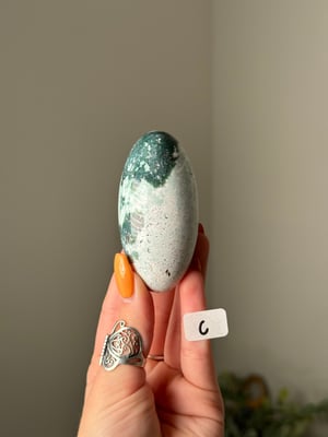 UNICORN JASPER SHIVAS