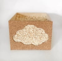 Image of The Cloud Box 