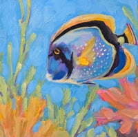 Under the Sea       8x8