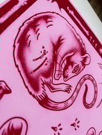 Image 4 of Rats Flash Sheet