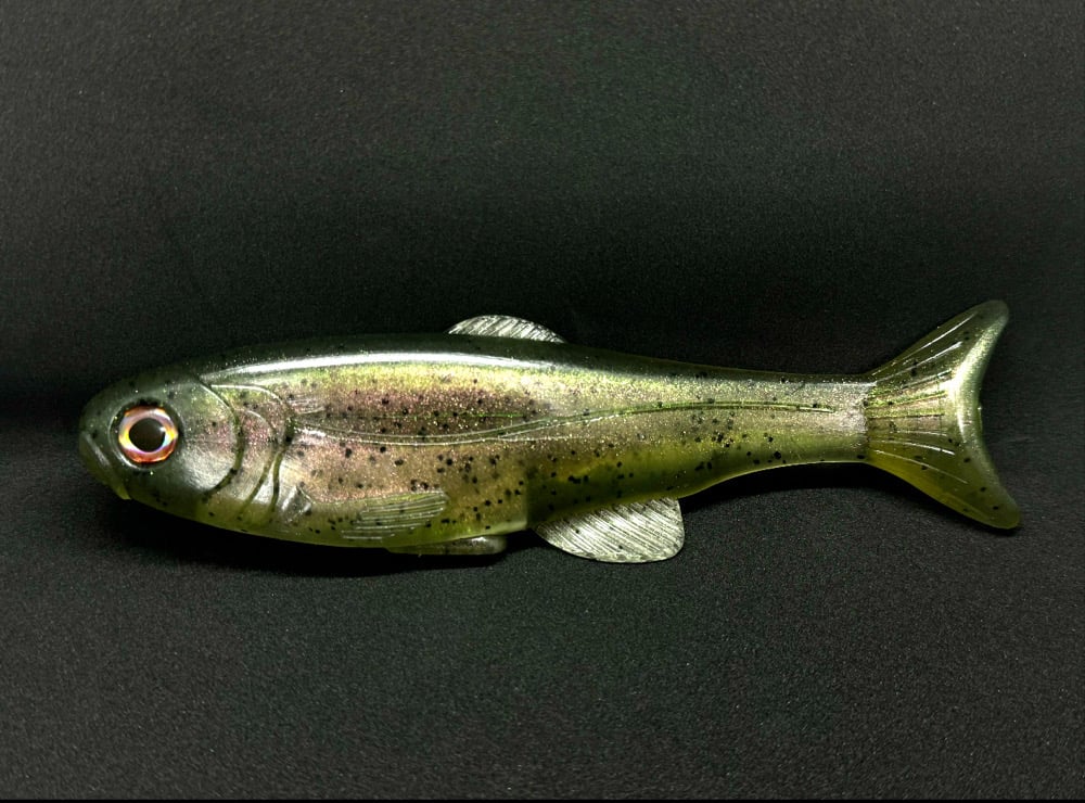 Roma Trout - GHOST TROUT - Image 4