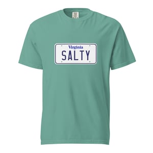 Image of SALT-TEE