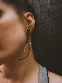 Image 2 of snake swoops