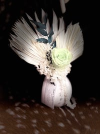 Image 5 of White Wings 