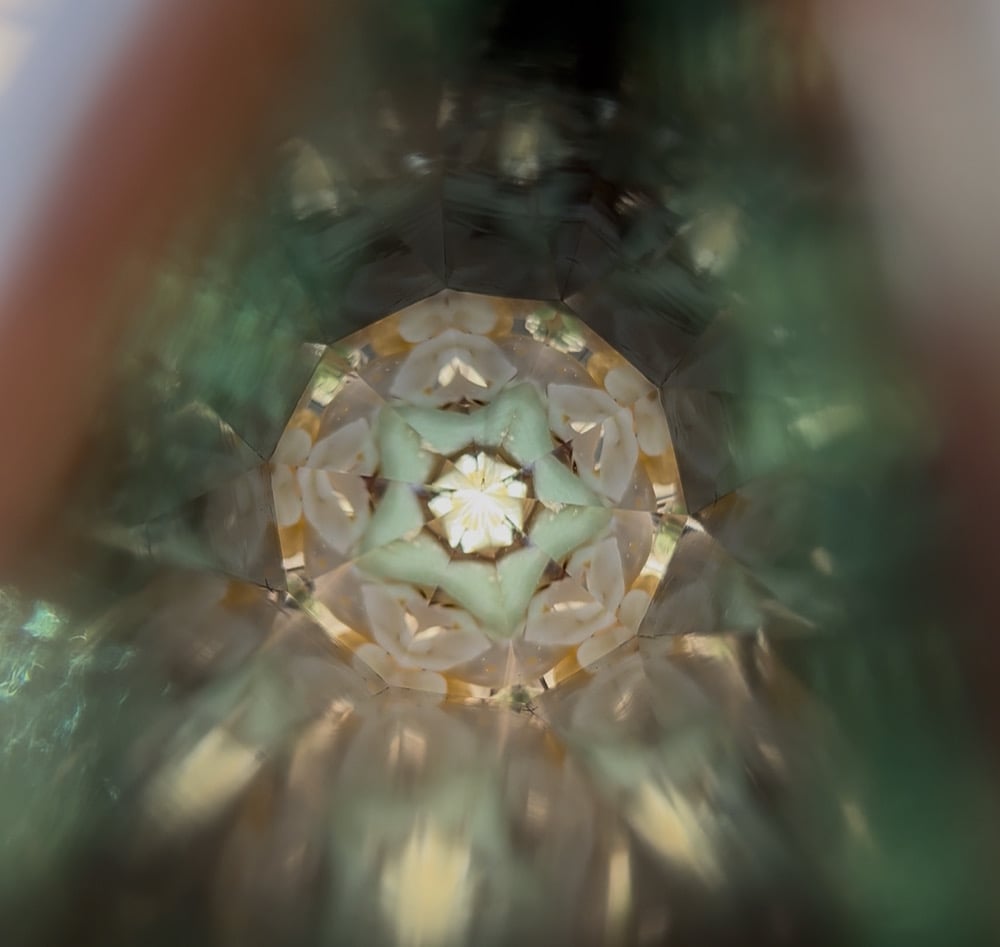 Image of Shell Beach Odyssey AuraScope