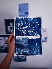 Image 2 of BUTTERCUPS (CYANOTYPE)