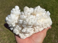 Image 13 of White Calcite Crystal Reef Formation Specimen #1237