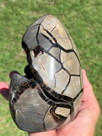 Image 11 of Septarian Nodule Polished Freeform With Calcite Inclusions| Madagascar #2899