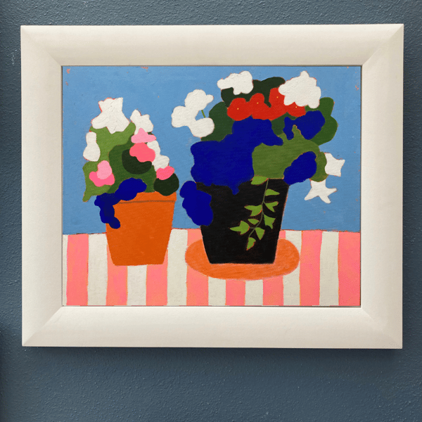Image of Potted Plants, Penzance 