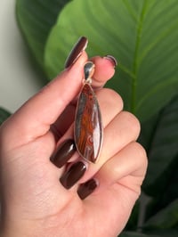 Image 1 of LAGUNA LACE AGATE PENDANT WITH CHAIN N (.925 SS)