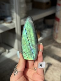 Image 1 of CHOOSE YOUR OWN SMALL LABRADORITE FREEFORM -MADAGASCAR-