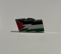 Retro Palestine Flag