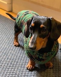 Image 2 of Camouflage Jumper