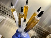 Exotic Liquid Cultures