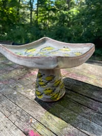 Image 1 of Elevated Dish