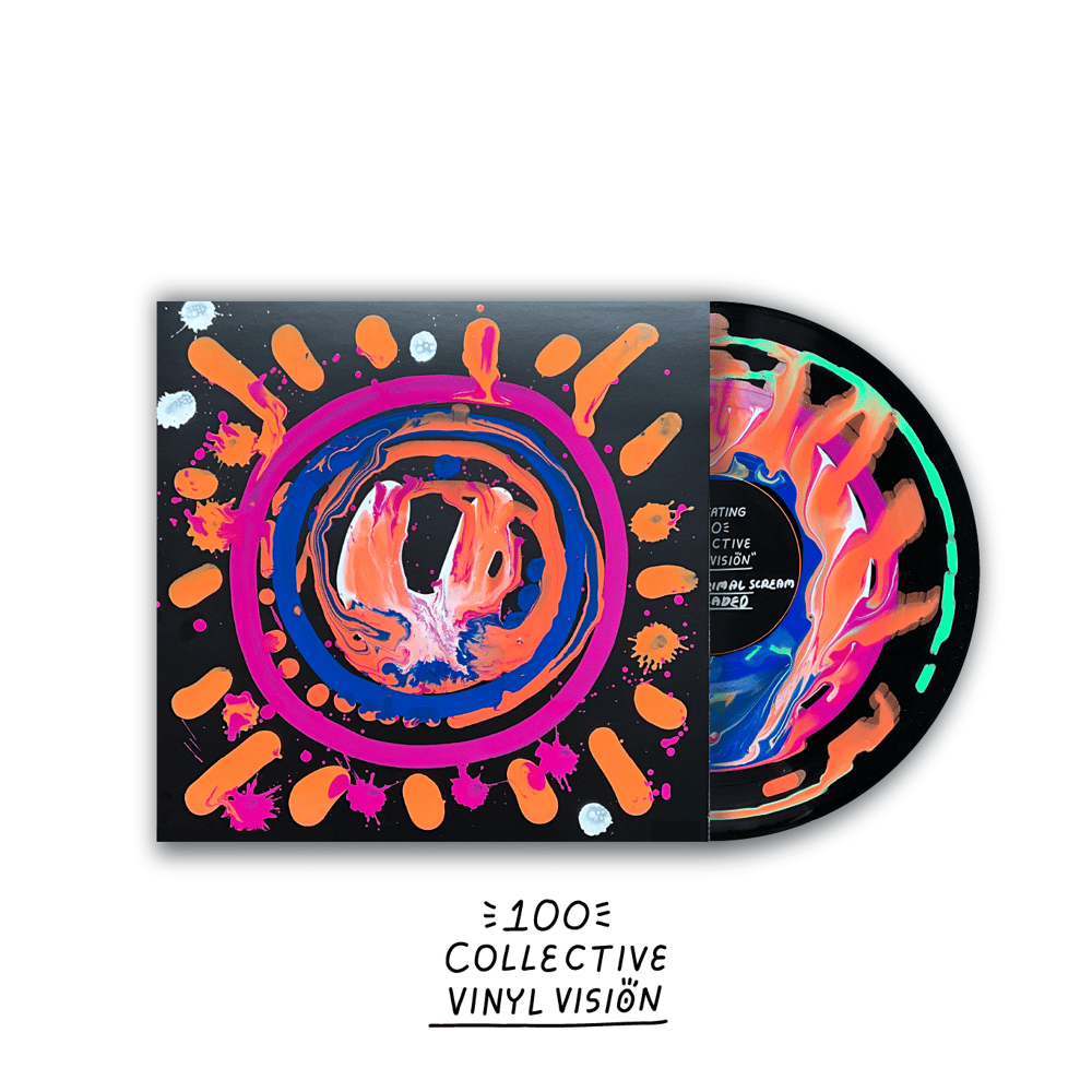 Vinyl Vision - 100 Collective