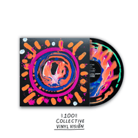 Image 2 of Vinyl Vision - 100 Collective