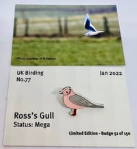 Image 1 of Ross's Gull - No.77 - Jan 2022 - UK Birding Series