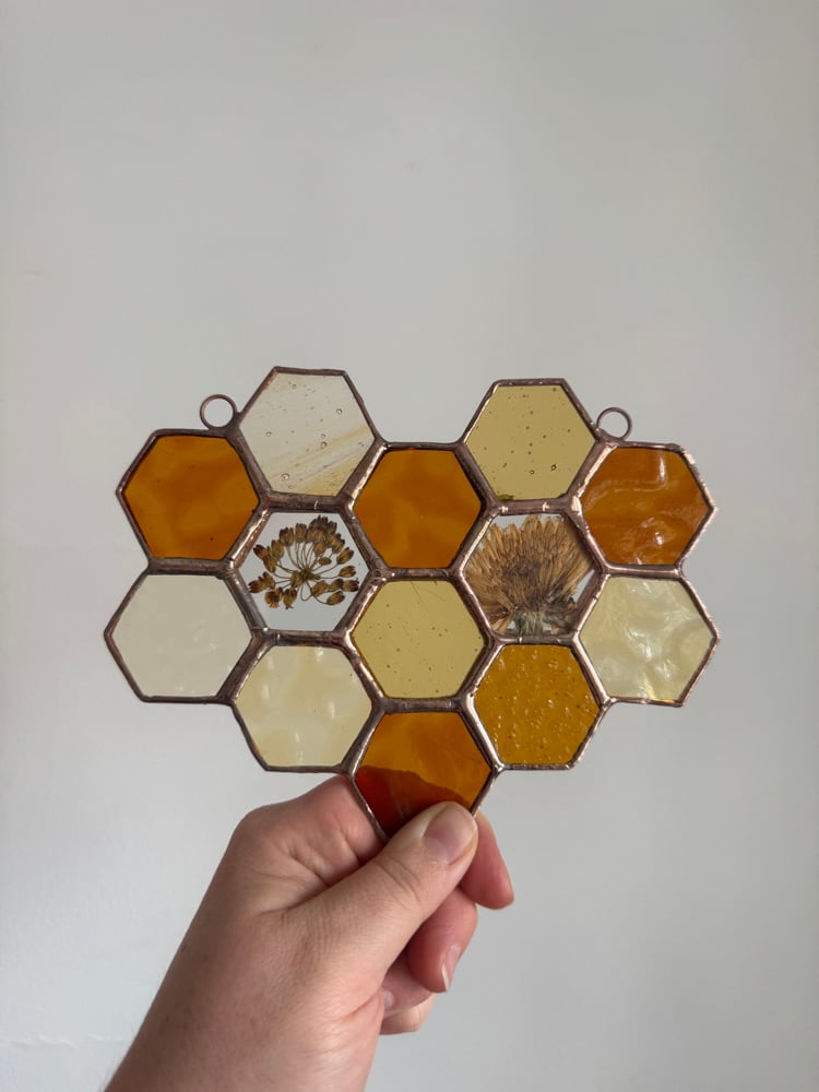 Honeycomb with Milkweed and Calendula flowers