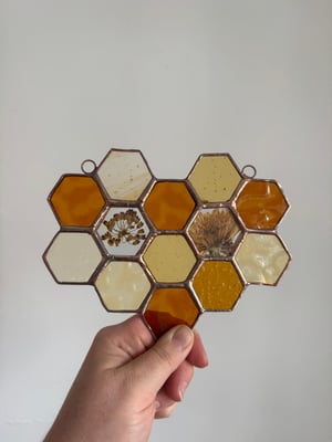 Honeycomb with Milkweed and Calendula flowers
