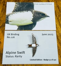 Image 1 of Alpine Swift - No.116 - UK Birding Pins - Enamel Pin Badge