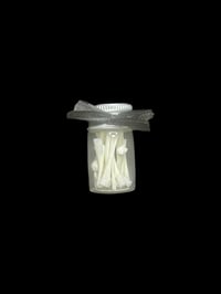 cane toad long bones jar 2