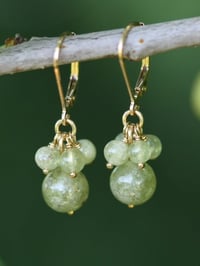 Image 1 of Boucles d'oreilles grenat vert