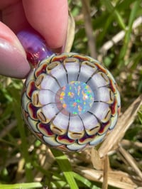 Image 1 of Opal Bloom