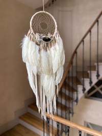 Image 6 of MACHA Little Dreamer II