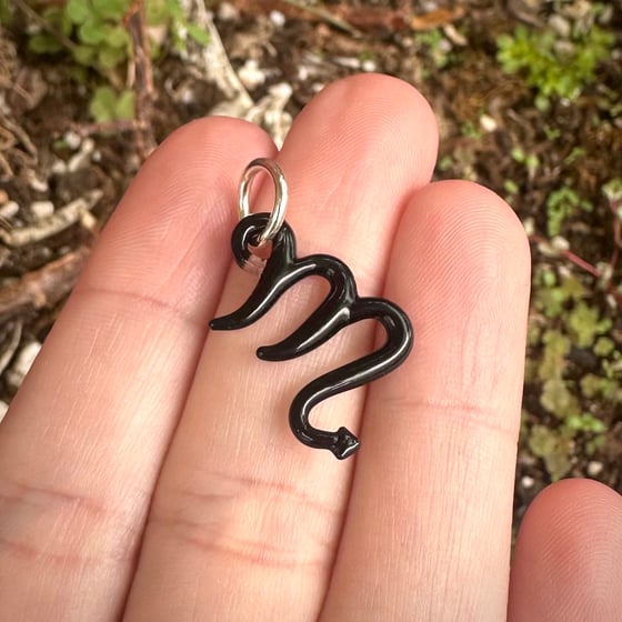 Image of Scorpio charm