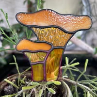 Image 3 of Chanterelle Mushroom Plant Stake