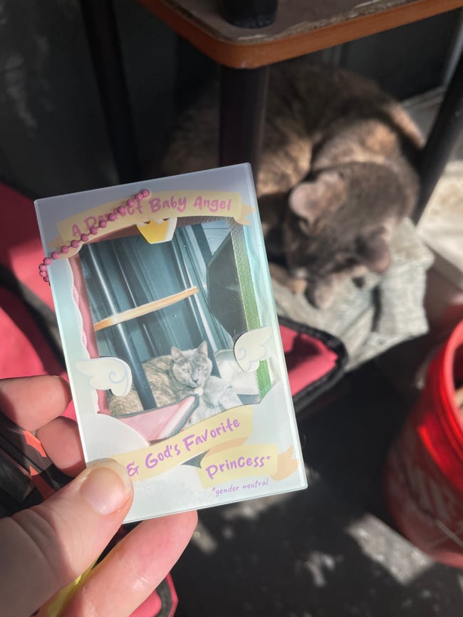 Princess Jail Photo Holders