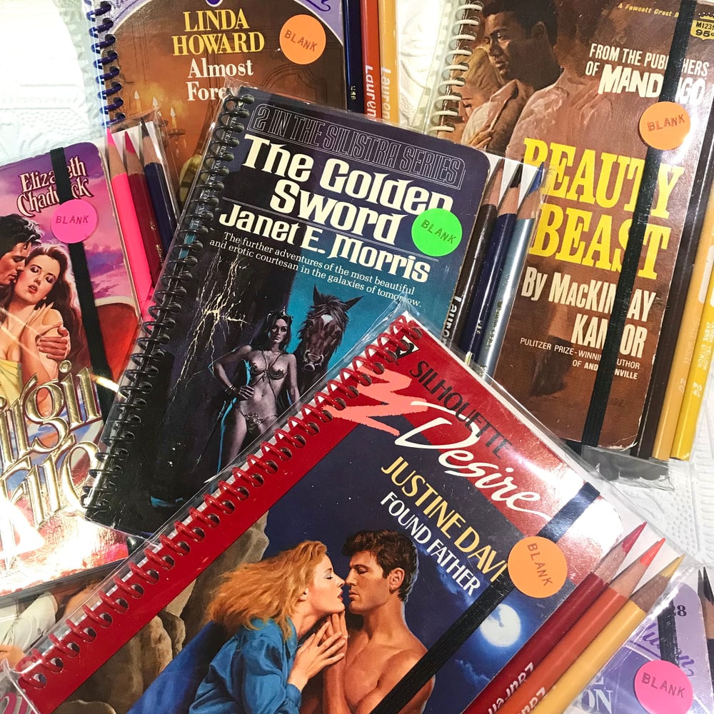 Trashy Novel Journal Set
