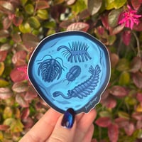 Image 1 of Burgess Shale Fossil Sticker