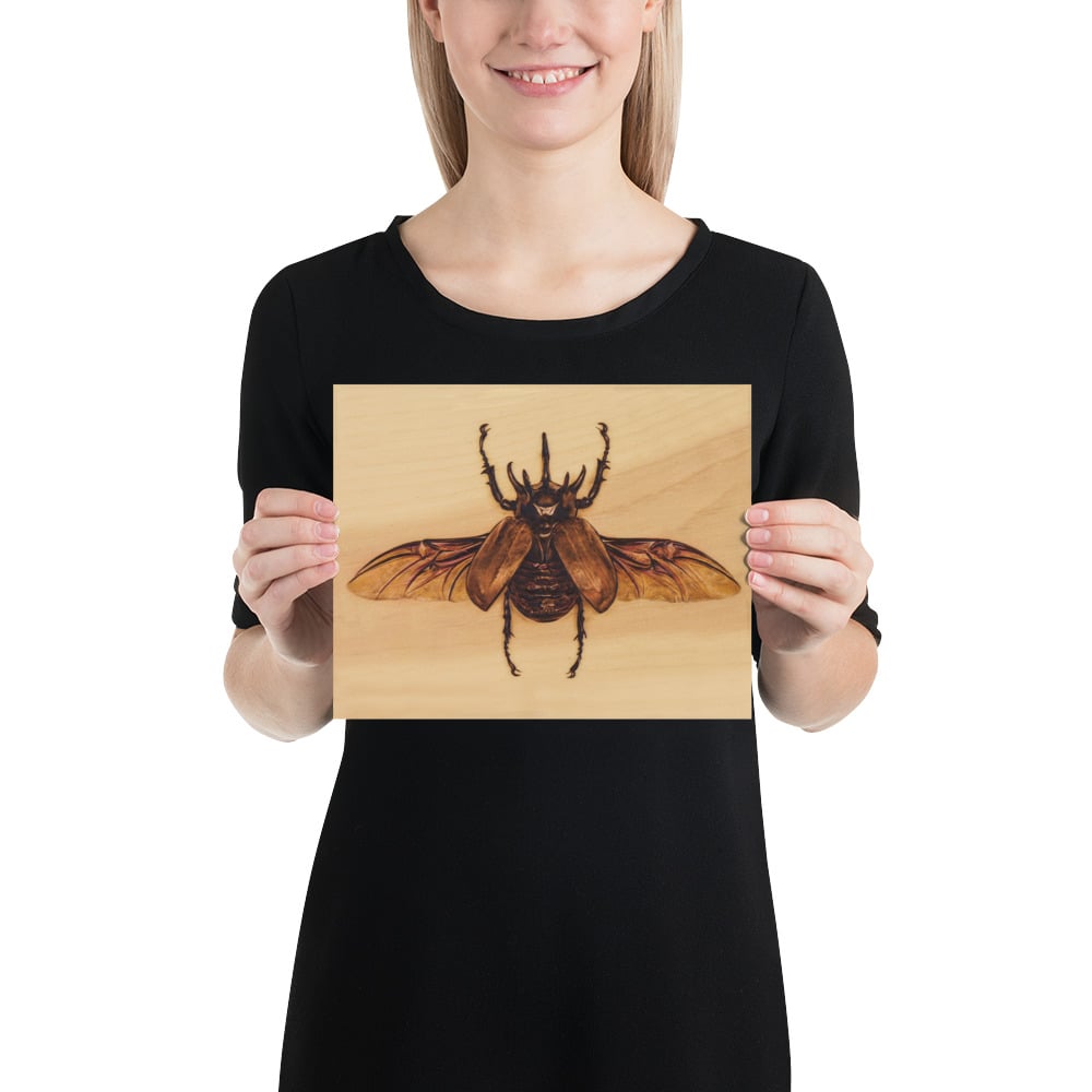 Photo Print: Atlas Beetle