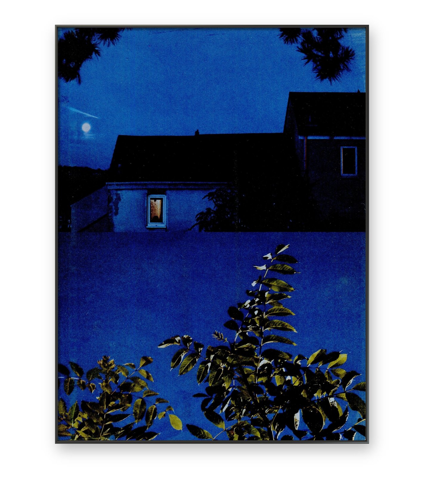 BLUE NIGHT | Jana Sojka