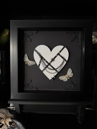 Image 1 of Vintage moth pair 