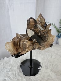 Image 6 of 3.4lb Smoky Quartz Crystal Cluster with Custom Stand