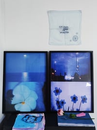 Image 4 of PANSY, BLUE SEA 