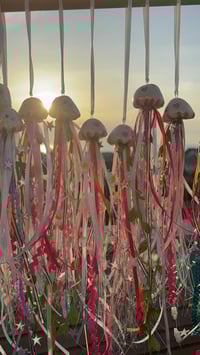 Image 3 of Jellyfish 🫧