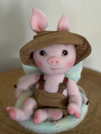 Image 4 of Spencer, Little Bitty Piglet