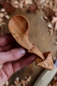 Image 8 of Mushroom~  Coffee Scoop